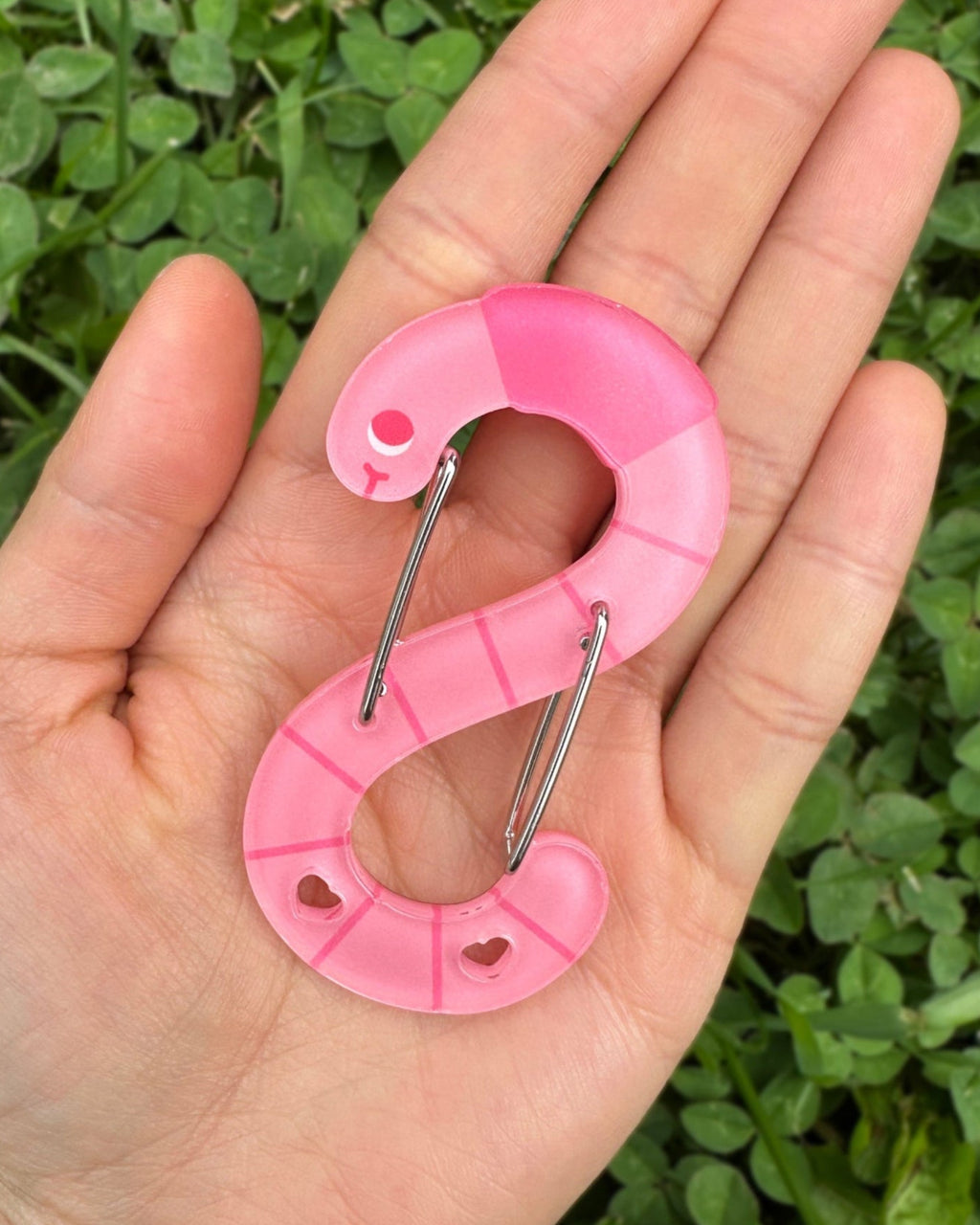 Acrylic Carabiner | Earth Wormbiner