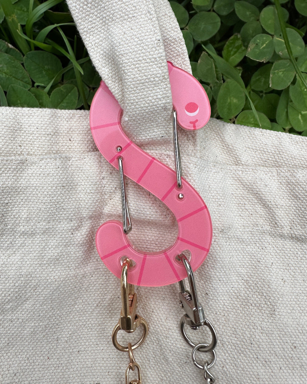 Acrylic Carabiner | Earth Wormbiner