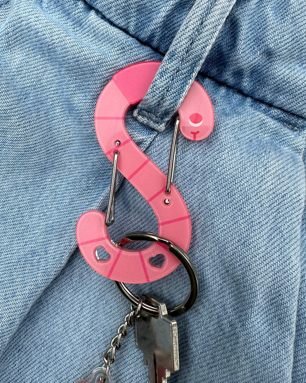 Acrylic Carabiner | Earth Wormbiner