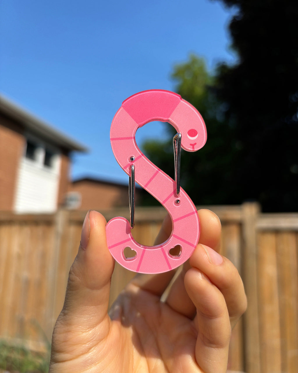 Acrylic Carabiner | Earth Wormbiner